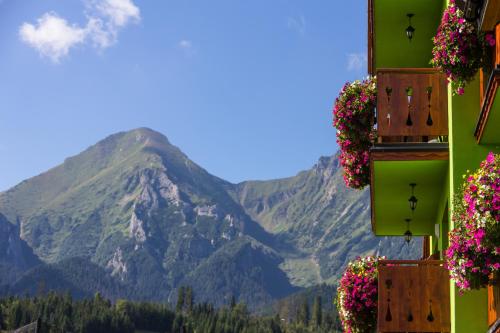 Фотография гостевого дома Penzion Safran