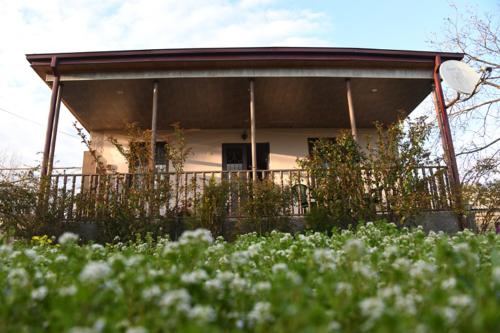 Фотографии гостевого дома
Buto's House