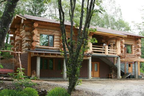 Фотография гостиницы Ёлочки