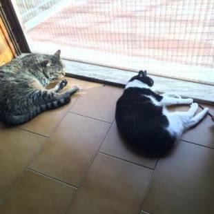 Фотографии мини отеля
Pampero & Catona House