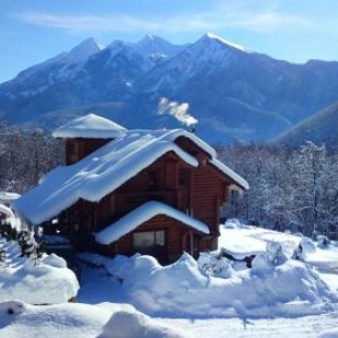 Фотография гостевого дома Tree of Life
