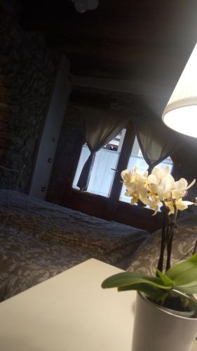 Фотография гостевого дома Romantic Boutique Hospitality