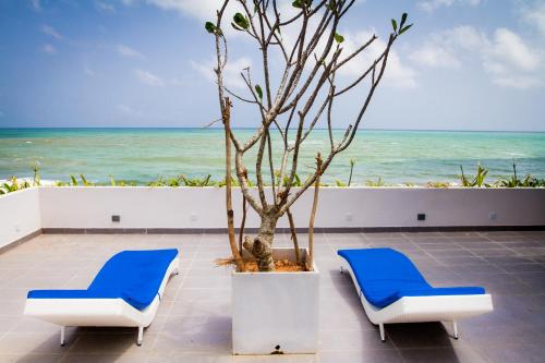 Фотография гостиницы Lazy Koala