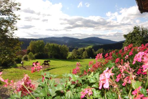 Фотография гостевого дома Bauernhof Kroner