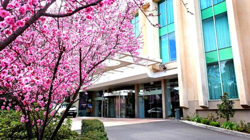 Фотография гостиницы Rydges Canberra