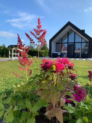 Фотография гостевого дома HARMONY Design and Vacation House