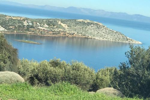 Фотография гостевого дома Guest house Gabriela