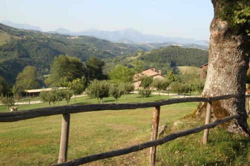 Фотография базы отдыха Farm Stay Agriturismo Semidimela