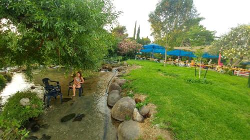 Фотография гостевого дома Kurlender Guest House