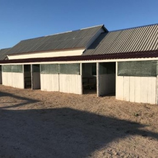 Фотография мини отеля Данис