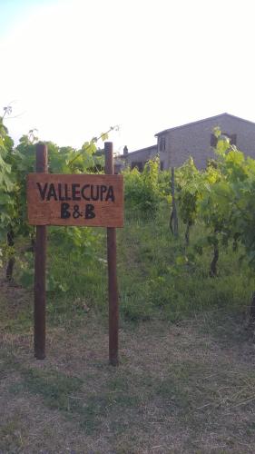 Фотография мини отеля B&B Vallecupa