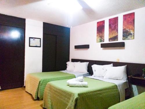 Фотография гостиницы Hotel Trevi