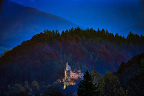 Фотография гостиницы Transylvanian Inn