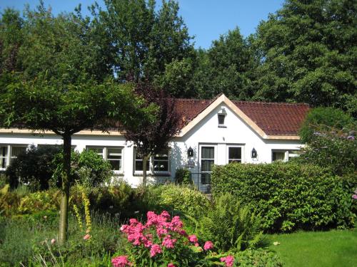 Фотография гостевого дома TimeOut-Breda