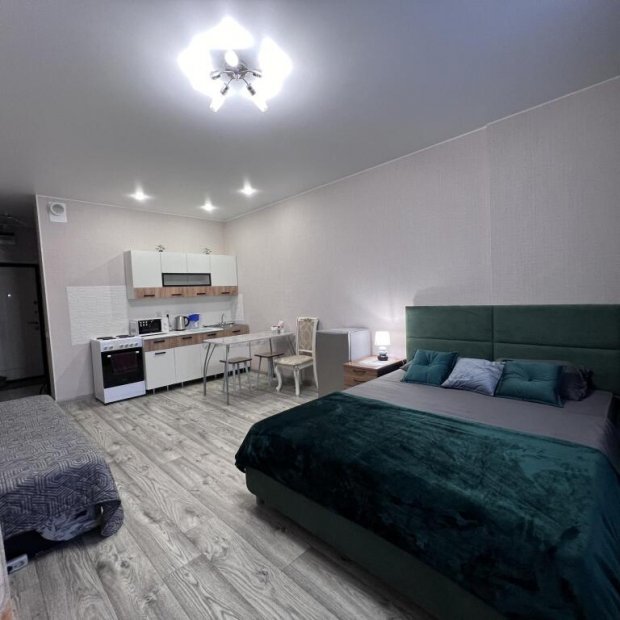 Фотографии квартиры 
            AlexHome (АлексХоум) на улице Пушкина 8-165