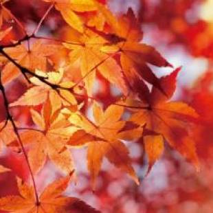 Фотографии гостиницы
Wulai Town House