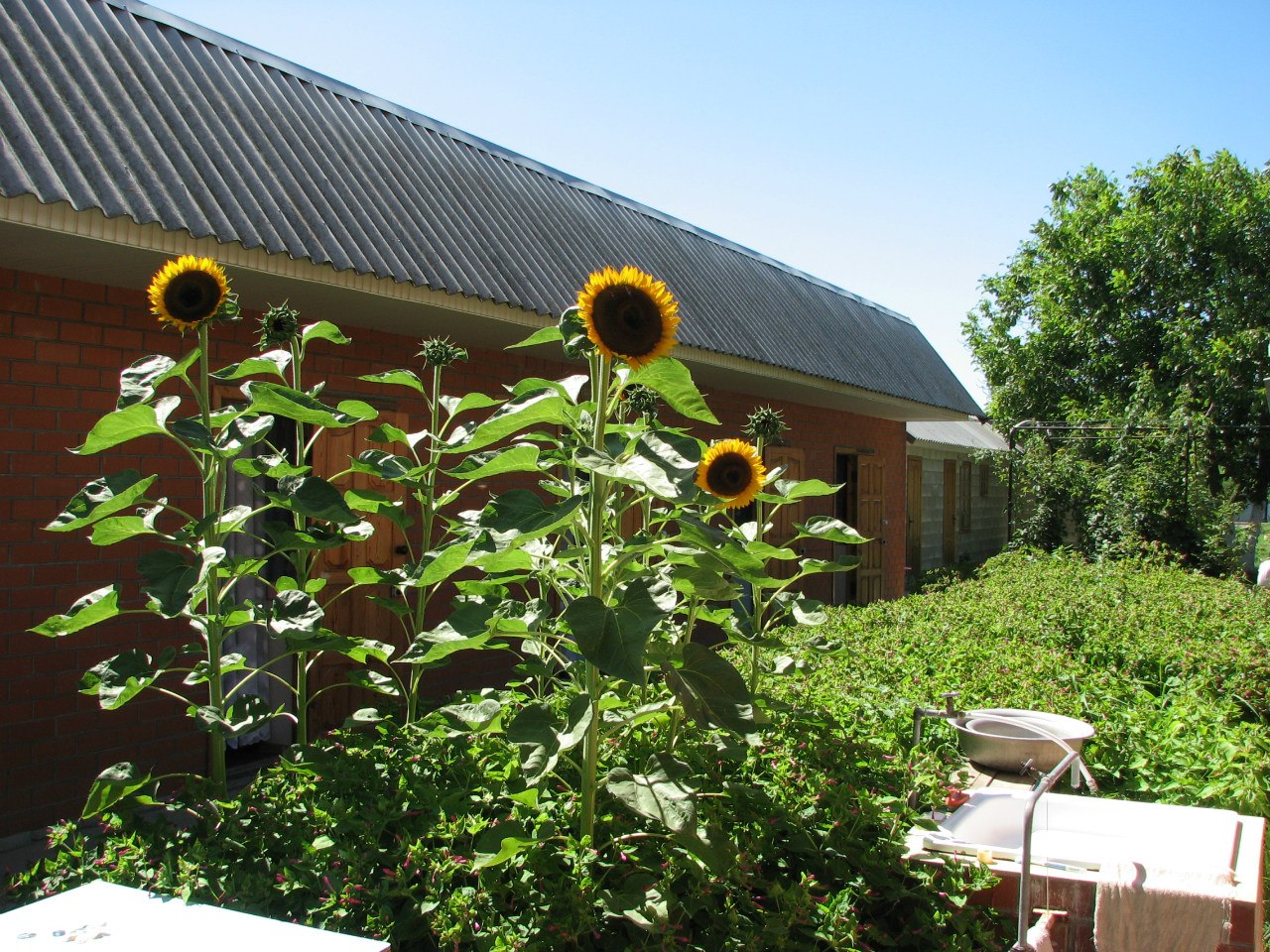 Фотография гостиницы На Красной 69