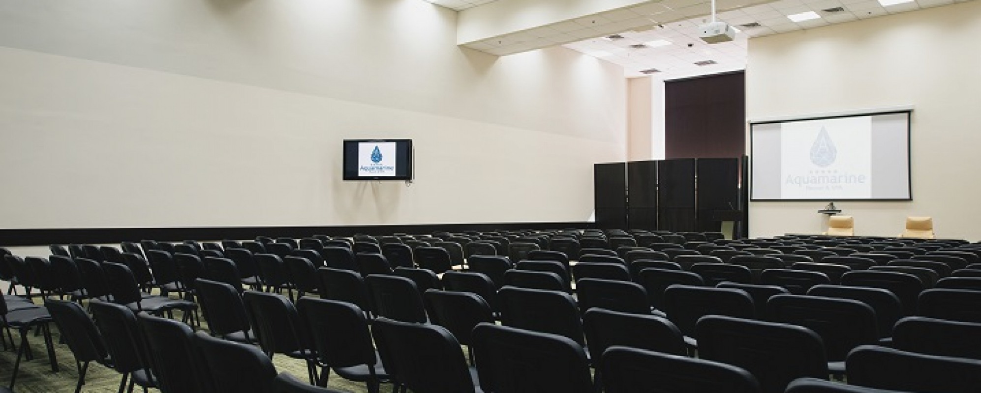 Фотографии конференц-зала Аквамарин