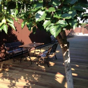 Фотография гостевого дома Реваз