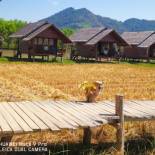 Фотография базы отдыха Namm Natawn