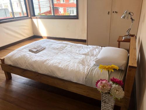 Фотография хостела Hospedajes Newen Osorno