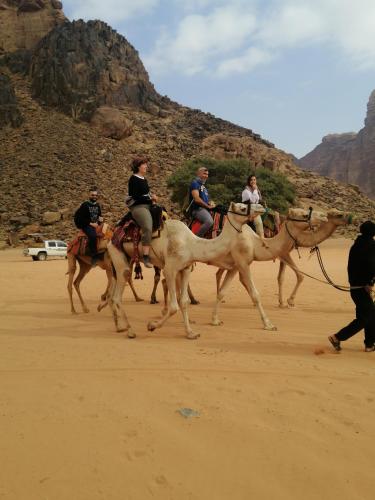 Фотография хостела Wadi rum Campsite & Tours