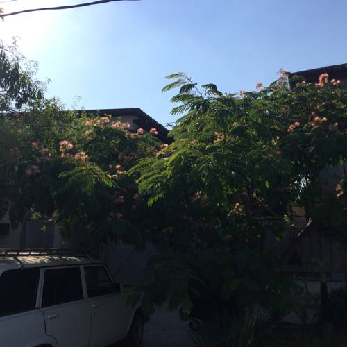 Фотографии гостевого дома 
            Татьяна на Центральной