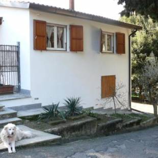 Фотографии гостевого дома
Villetta Aleanto