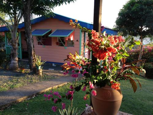 Фотография гостевого дома Cottage Top of the Hill Rodney Bay