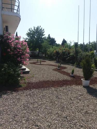 Фотография гостиницы Royal Sky