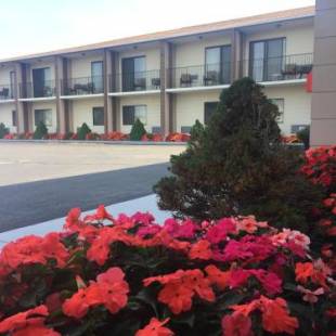 Фотографии мини отеля 
            Red Roof Inn & Suites Middletown, RI