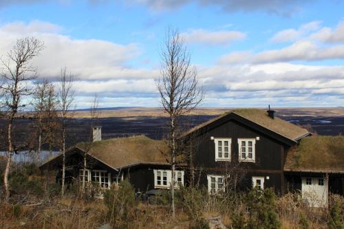 Фотография гостевого дома Torshaug 4 bedroom cabin