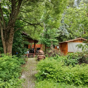 Фотография Коттеджа Частный дом Африка в Саду