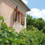 Фотография гостевого дома Alla vigna