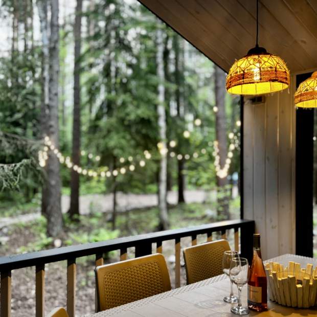 Фотографии Коттеджа 
            Частный дом Репинская дача на опушке красивого леса