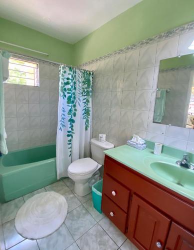 Фотография мини отеля The Blue Orchid