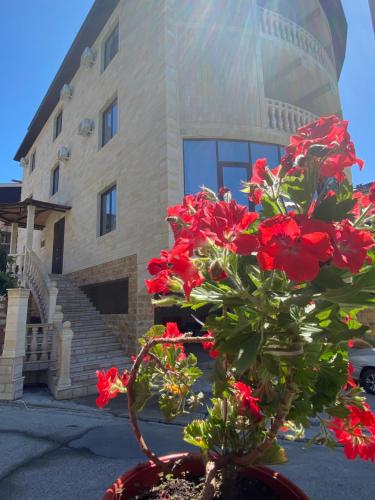 Фотография гостевого дома Ноев Ковчег