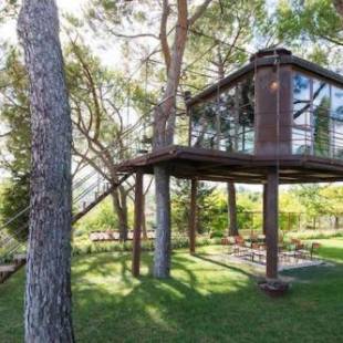 Фотографии гостевого дома
Cabaña treehouse Mountain View