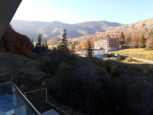 Фотография апарт отеля Orbi Palace Bakuriani room 711