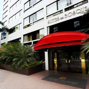 Фотография гостиницы Suites del Bosque Hotel