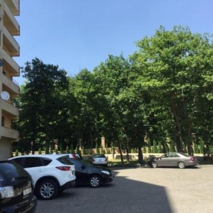 Фотография гостевого дома Mori Plaza