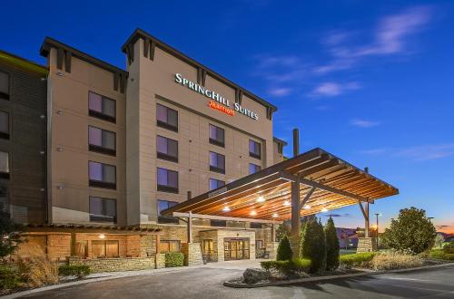 Фотография гостиницы SpringHill Suites Pigeon Forge
