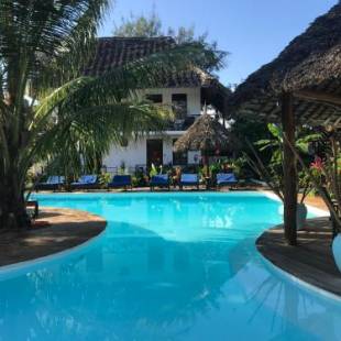 Фотографии гостиницы
Aluna Nungwi