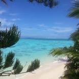 Фотография гостевого дома Arapati Holiday Homes