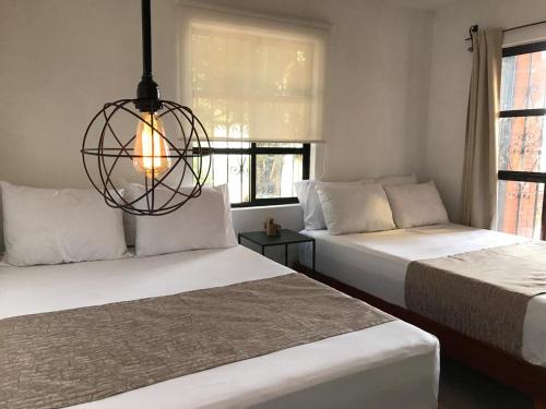 Фотография гостиницы Casa Malva Sweet Stay