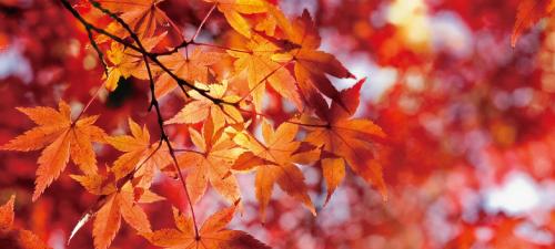 Фотография гостиницы Wulai Town House