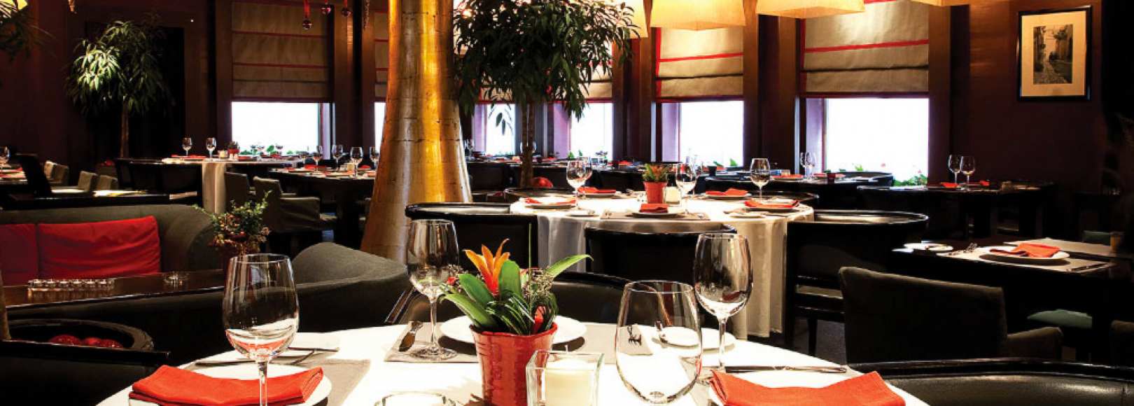 Фотография ресторана Сыр