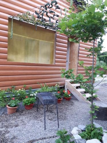 Фотография гостевого дома На Черешеневой, 1б