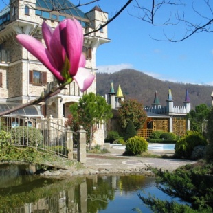 Фотография гостиницы Замок у моря