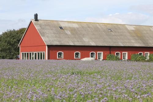 Фотография гостиницы Ramsjögård Hotell